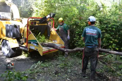 tree services Hamlet